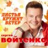 Обложка трека Сергей Войтенко - Листья кружит ветер