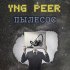 Обложка трека Yng PEER - Пылесос