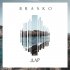 Обложка трека Brasko - Дар