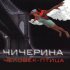 Обложка трека Чичерина - Человек-птица