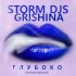 Обложка трека Storm DJs, Grishina - Током по коже (Extended Mix)