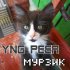 Обложка трека Yng PEER - Мурзик