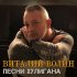 Обложка трека Виталий Волин - Брат