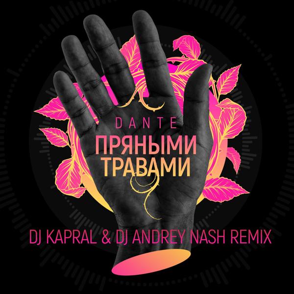 Трек Пряными травами (DJ Kapral & DJ Andrey Nash Remix)