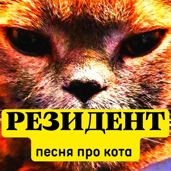 Трек Песня про кота