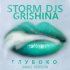 Обложка трека Storm DJs, Grishina - Глубоко (Dance Version)