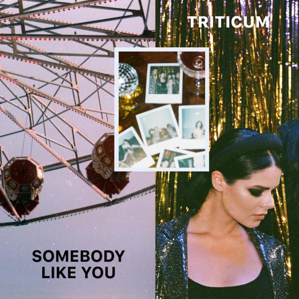 Трек Somebody Like You