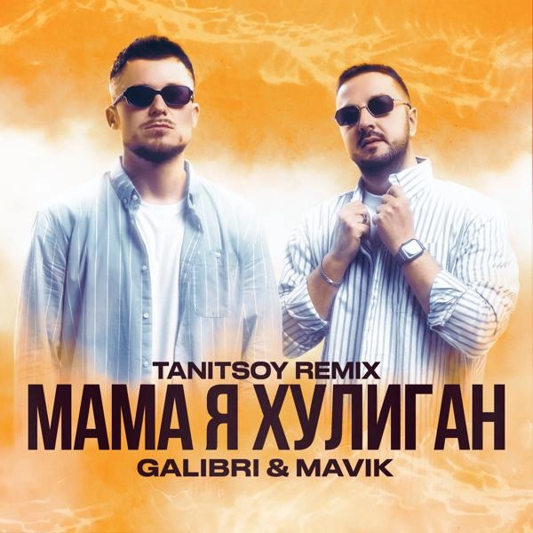 Трек Мама я хулиган (Tanitsoy Remix)