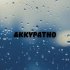 Обложка трека Южный - аККуратно