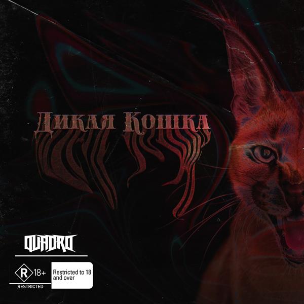 Трек Дикая кошка