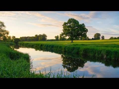 Андрей Бандера - Поля России видео (клип)