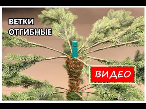 РАДУЖНЫЙ, MARCUS MACHETTE, КАСПЭ ВИТАЛЬЕ - Снег на ёлках видео (клип)