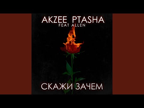 Akzee, Sunrise - Камин видео (клип)