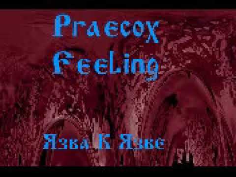 praecox feeling - Гвоздь в крышку гроба видео (клип)