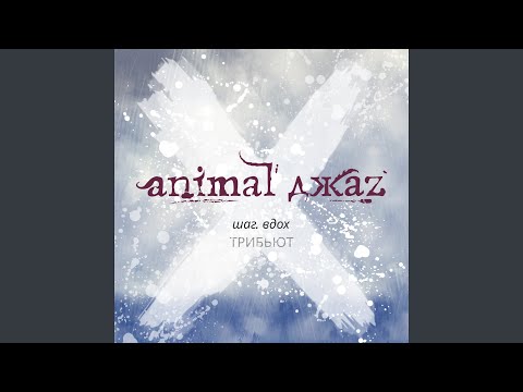 Animal ДжаZ, Аффинаж - Можешь лететь видео (клип)