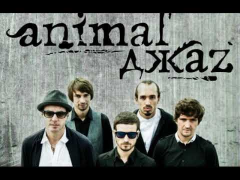 Animal ДжаZ - Любовь к полётам видео (клип)