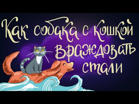 reddogy - Сказка видео (клип)