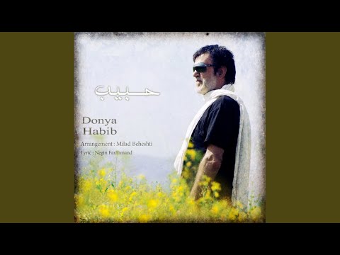 Donya - Хватит видео (клип)