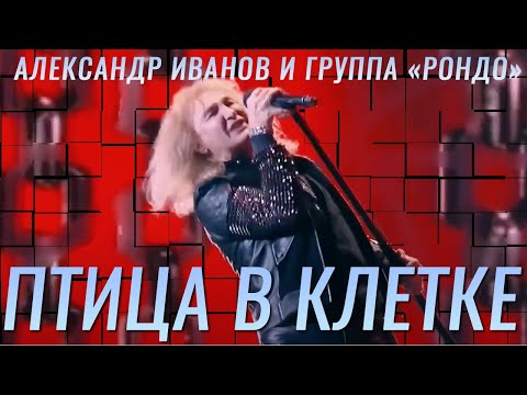 Александр Иванов - Птица в клетке видео (клип)