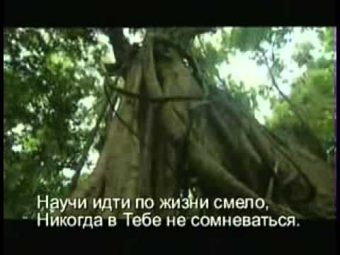 Андрей и Анна Лукашины, Вероника Данилова - Черная Стрела видео (клип)