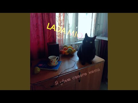 Lada Mio - Я убью своего кота видео (клип)