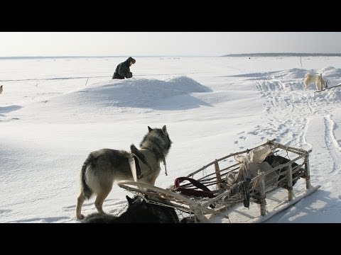 Счастливые люди - Украшающий лёд видео (клип)