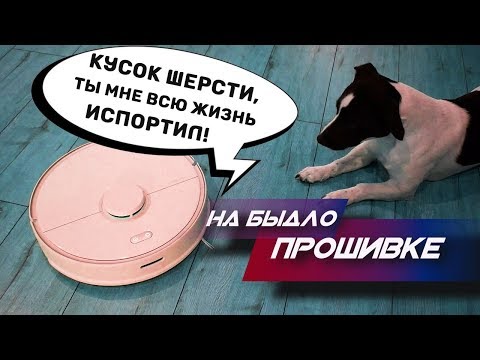 улица имени имени - Пёс и пылесос видео (клип)