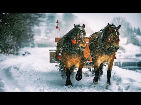 X-MARSSTON, N95, SÜBBOTA - Музыка для лечения сердца и сосудов видео (клип)