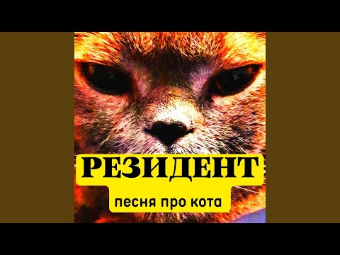 РЕЗИДЕНТ - Песня про кота видео (клип)