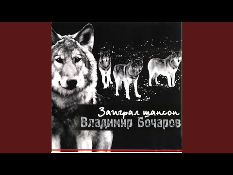 Владимир Бочаров - Сочи видео (клип)