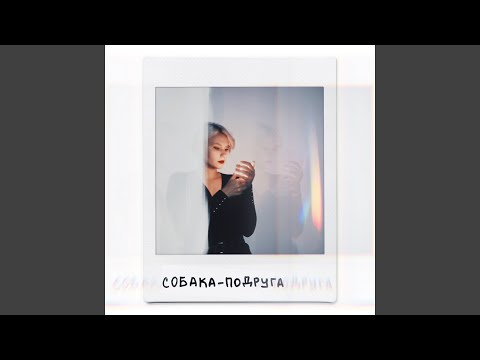 привет марта - собака-подруга видео (клип)