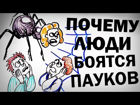 Арахнофобія - Яка чудова мить! видео (клип)