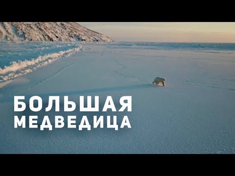 Грот, Муся Тотибадзе - Большая медведица видео (клип)