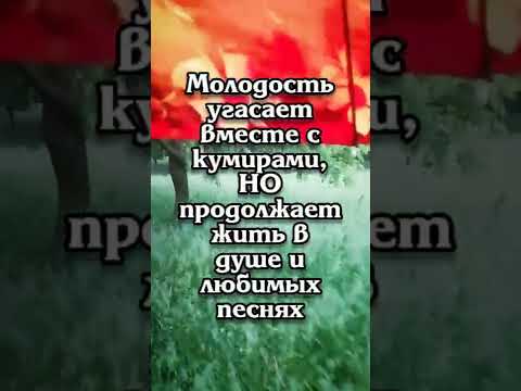 Мечта - Тебя не забудем видео (клип)