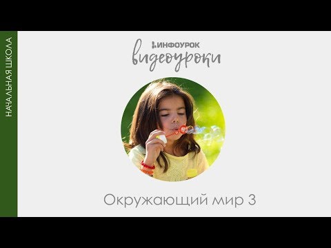 Климат - ПВН видео (клип)