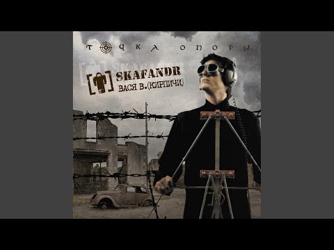 Skafandr, Вася В - Всё равно мать вашу я буду веселиться видео (клип)