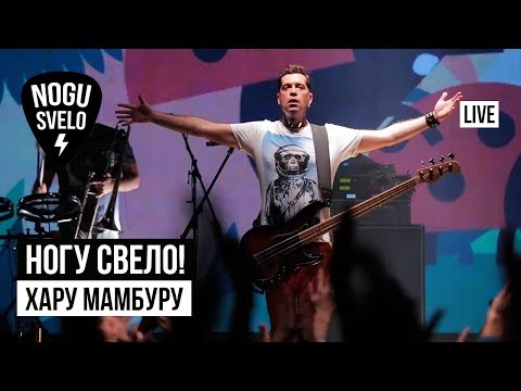 Ногу Свело! - Хару Мамбуру (Live 2019) видео (клип)