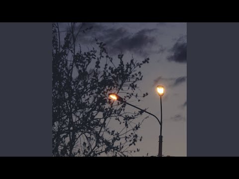 cold carti - Больше, чем видео (клип)