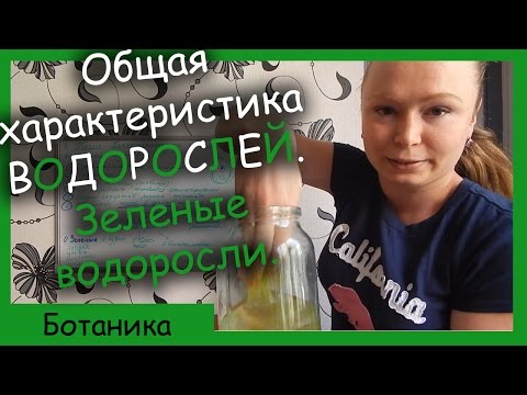 Зеленый водоросль - как все видео (клип)