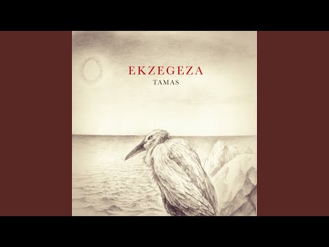 Ekzegeza - Сумма всех слов видео (клип)