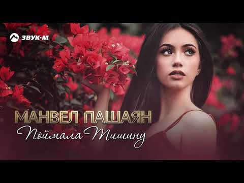 Манвел Пашаян - Поймала тишину видео (клип)