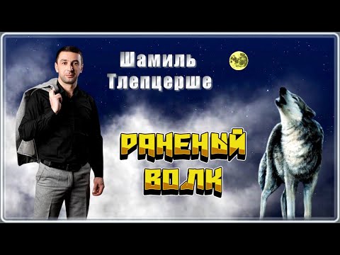 Шамиль Тлепцерше - Раненый волк видео (клип)