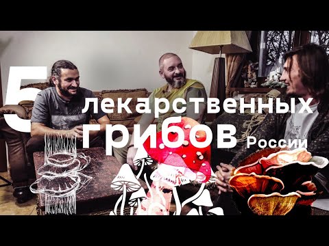 SHEEEVA - Гриб видео (клип)