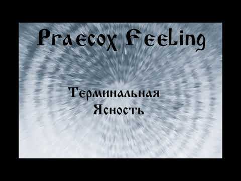 praecox feeling - Говорило небо видео (клип)