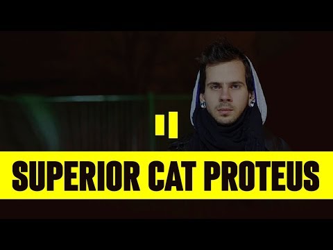 Superior.Cat.Proteus, Basic Boy - Затмение видео (клип)