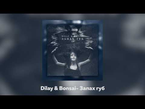 Dilay, Bonsai - Запах губ видео (клип)